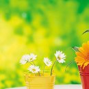 축복의통로 이미지