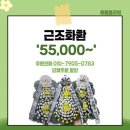 하나노인전문병원 | 하나노인전문병원장례식장 청주 꽃집에서 예쁘고 빠르게 당일배송합니다