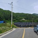 가은산초경골 네이버블로그