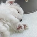 부천-중동-부천-037 네이버블로그