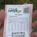 정가네 황태해장국 | 강릉 유천동족발맛집 겉바속촉 정가네화덕구이족발과 무료화덕피자