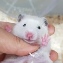 (주)모프 이미지