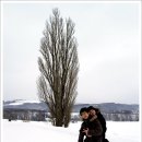 비에이 카카오 검색결과