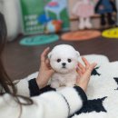 능곡동 근린공원 이미지