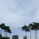 송탄우리약국 이미지