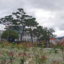 산청군청 이미지