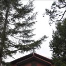 늘솔길공원양떼목장 이미지