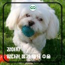 어울동물의료센터 이미지