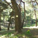 심천면사무소 화장실 이미지