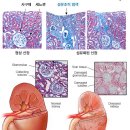 (주)이에이치엘 이미지