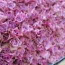 구림시장 이미지