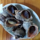 맘모스타운 이미지