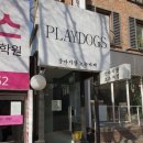 플레이독스 | [서울/건대] 고양이와 강아지가 있는 보드게임카페 ‘플레이독스‘ 방문후기
