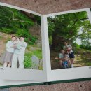 가족나무 이미지