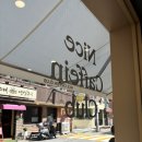 나이스카페인클럽고대