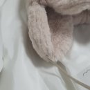 세이치즈데이