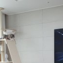 캣드림 | 캣츠드림 캣타워후기