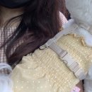 포리애견 이미지