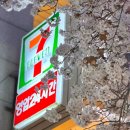 (주) 바이닐랩 | 서울 벚꽃 개화 실시간, 망원동벚꽃 스팟, 합정 벚꽃길은 어디?