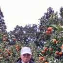 김종태농장 이미지