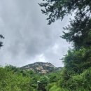 사모정 | 서울 종로 서촌투어 추천 여행코스