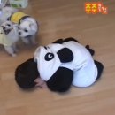 상현농장 | 블챌은 글렀고.. (9월)