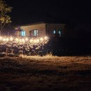 고망돌담 이미지