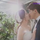 강남잉꼬결혼 이미지