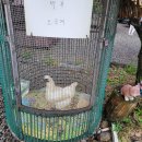 캠프예그리나 이미지