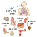 대세운수(주)