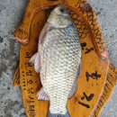 2박3일낚시터 이미지