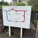 하귤과보리 | [제주 마노르블랑] 늘 이쁜 꽃들이 반겨주는곳 5월 방문후기