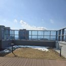 애견유치원&호텔 초댕학교 이미지