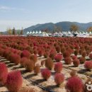 안성맞춤랜드공원4 이미지