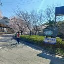 씨릉섬출렁다리 이미지