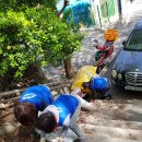 구포3동-8 이미지