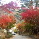 광양YMCA어린이집 이미지