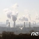 대성종합가스 이미지