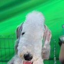 스테이다정 이미지