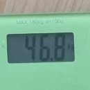 달려라토끼코인노래연습장 이미지