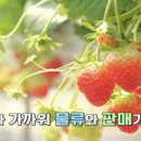 스타농장 이미지