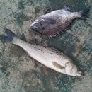 동산낚시터 이미지