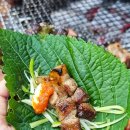 공지천왕갈비 | 춘천 돼지갈비 맛집 퇴계동 고기맛집 공지천왕갈비 갈매기살 회식장소