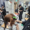 미용(헤어)실무 네이버블로그