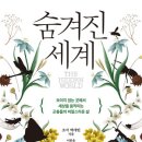 (주)조선교육문화미디어 이미지