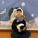 💜슬기반퍼포먼스🧊남극 펭귄🐧체험💜 이미지