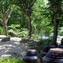 고향내음 이미지