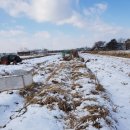 길중농장 이미지