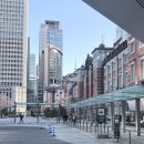 금산읍 사담마을 앞 | 3월에 딱 가기 좋았던 도쿄 2일차