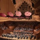 오페라하우스 | 시드니 오페라하우스 내부투어 후기ㅣ30분인데 만족도 높았던 이유